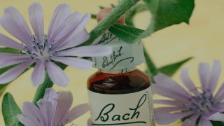 Comment prendre les fleurs de Bach ?